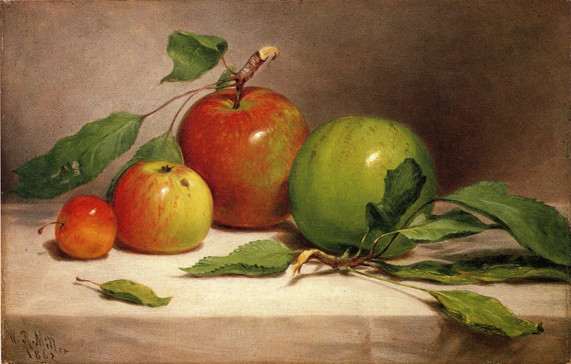 Still Life Study of Apples