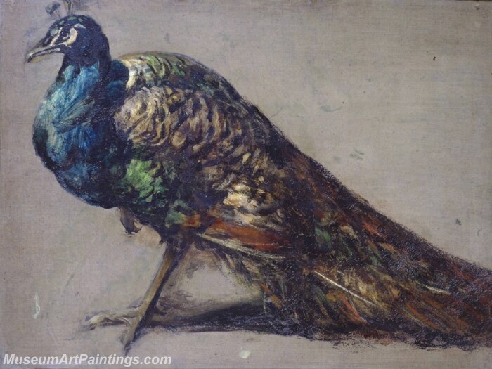 Study of a Peacock for The Judgement of Paris Painting