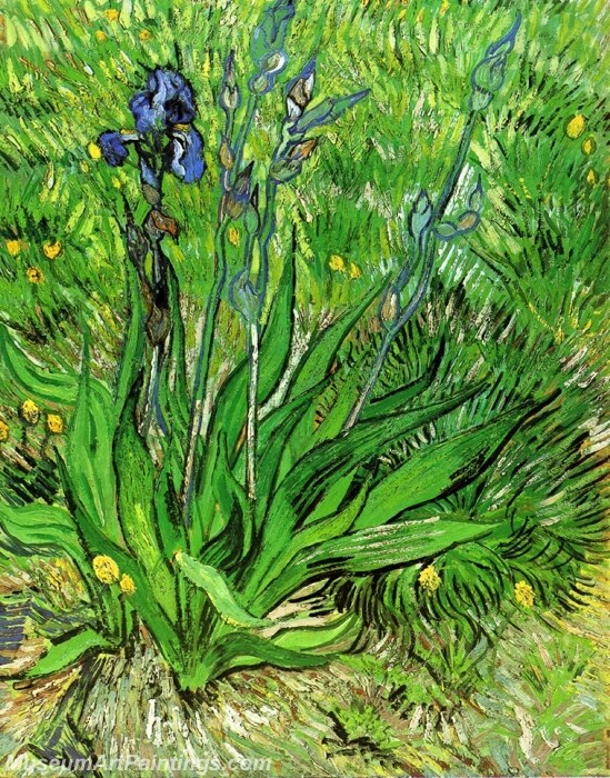 The Iris Painting