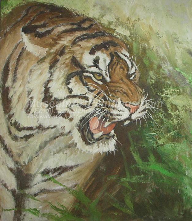 Tiger Oil Paintings 017