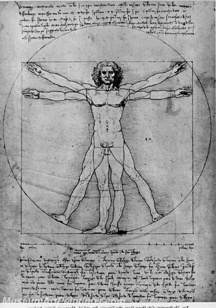 Vitruvian Man Study of proportions from Vitruvius's De Architectura Painting