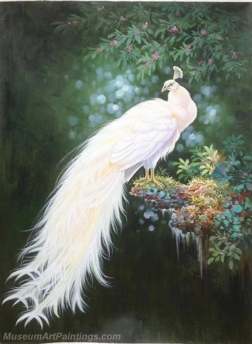White Peacock Paintings NPOP04