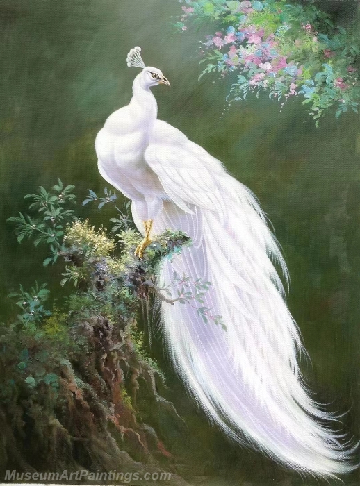 White Peacock Paintings NPOP07