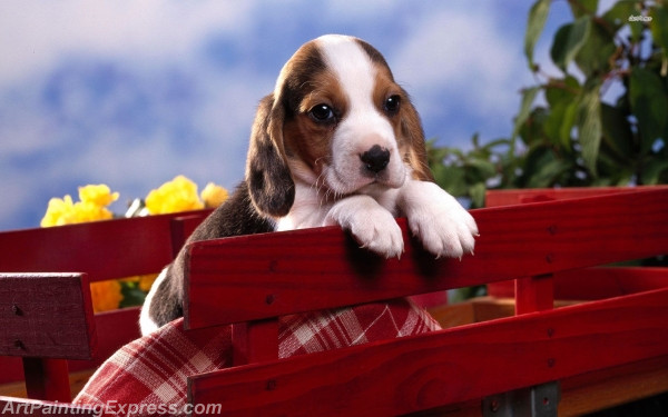 beagle puppy painting canvas prints