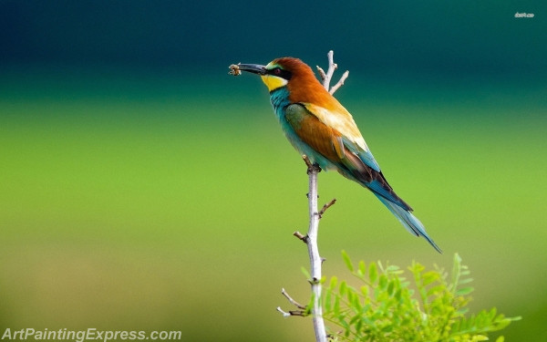 bee eater painting canvas prints