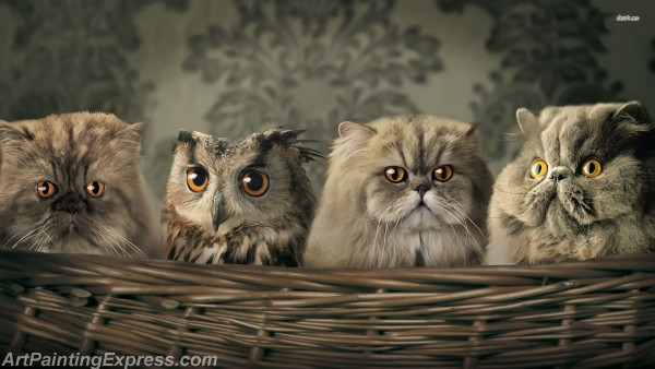 cats and owl Art Painting Canvas Prints