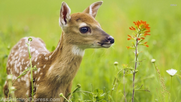 deer painting canvas prints