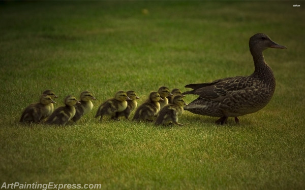 duck with ducklings painting canvas prints