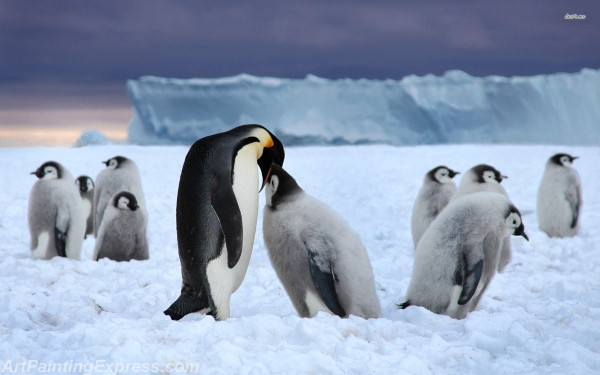 emperor penguin with chicks painting canvas prints