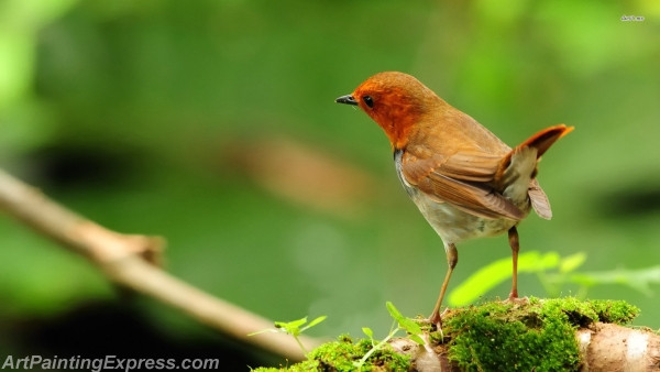 japanese robin art painting canvas prints