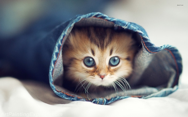 kitten hiding in jeans painting canvas prints