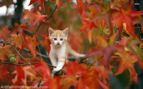 kitten in autumn tree painting canvas prints