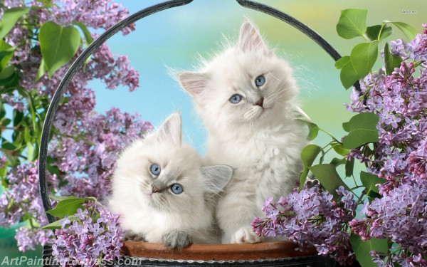 kittens in a basket painting canvas prints