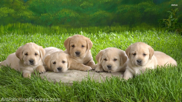 labrador puppies painting canvas prints