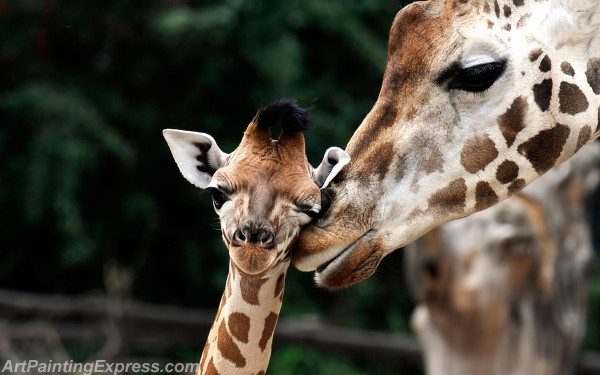 loving giraffe painting canvas prints