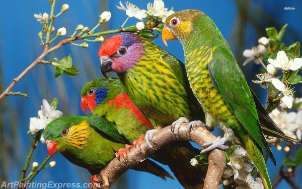 parrots on a branch painting canvas prints