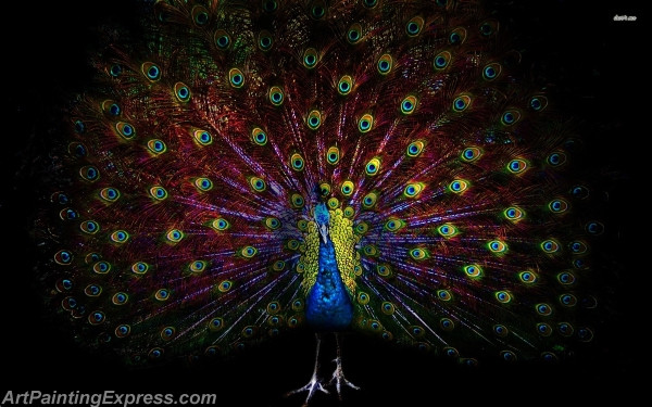 peacock painting canvas prints PP01