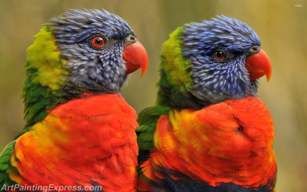 rainbow lorikeets painting canvas prints