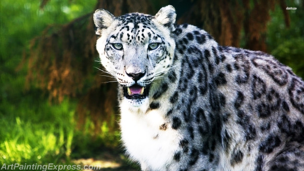 snow leopard painting canvas prints