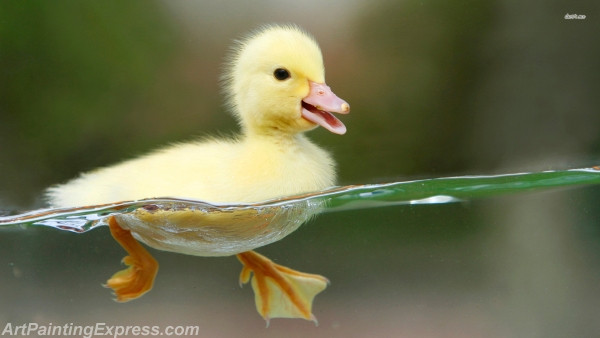 swimming duckling painting canvas prints