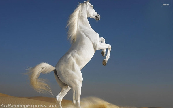 white horse painting canvas prints